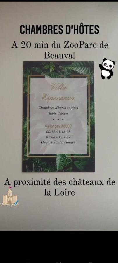 Villa Esperanza Suite De Plain-Pied, Independante, 2 A 4 Personnes Proche Zoo De Beauval Et Chateaux De La Loire Valencay Ngoại thất bức ảnh